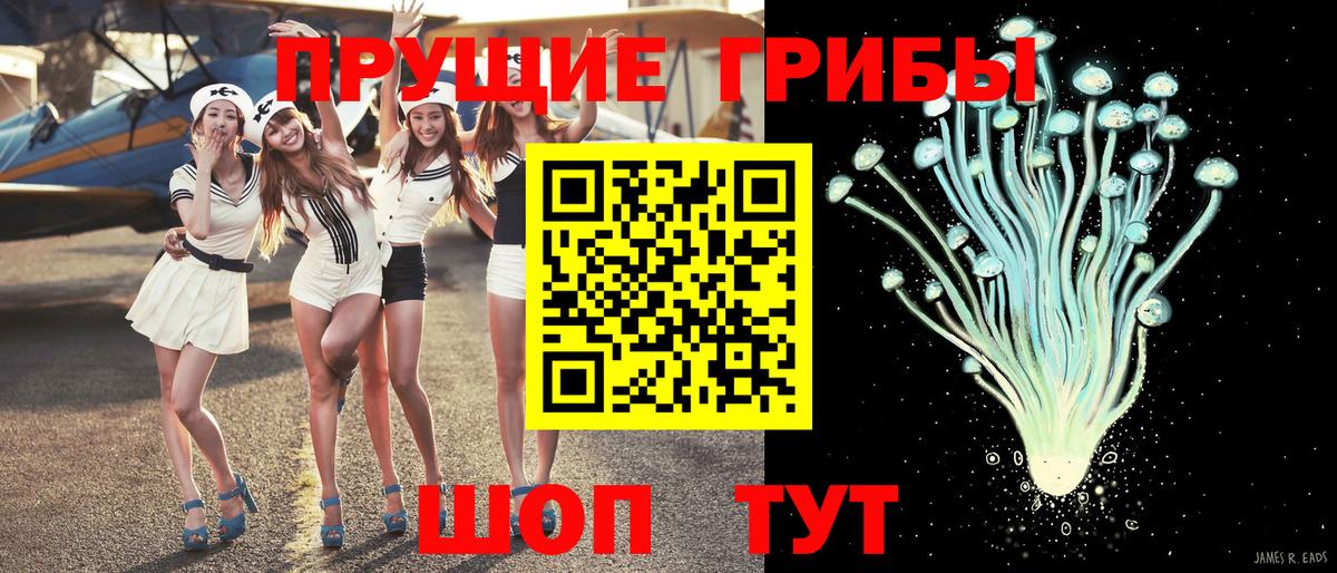 Тула  Псилоцибиновые грибы мухоморы  Вход с VPN 
